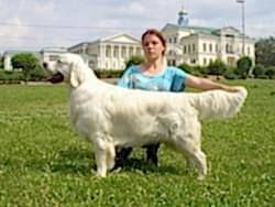 Вог Спешиал Эдитион фор Кибеллайн