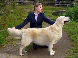 Цуваса Крейгихилл Рея Кибелла