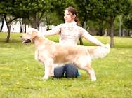 Кибеллайн Арчибпальд Райсинг Сан