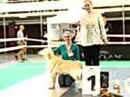 Фавориты Урала - 2016