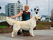 Кибеллайн Жигер Виннер Тэйк Итс Олл