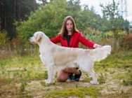 Моно Голден ПК Осеннй Блюз 2018 