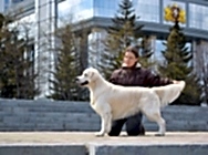 Степа 2 года