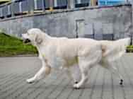 Степан 2 года