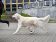 Степан 2 года