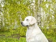 Степан 2 года