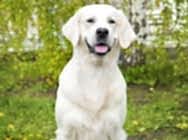 Степан 2 года