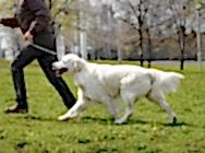 Степан 2 года