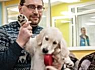 Фурор с папой