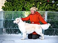 Кибеллайн Степ Бай Степ