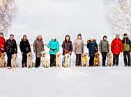 Топ Голден Кибеллайн за 2018 г.