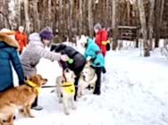 Цепи! Цепи кованые! Раскуйте нас! Кем?