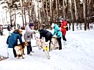 Цепи! Цепи кованые! Раскуйте нас! Кем?