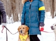 Цепи! Цепи кованые! Раскуйте нас! Кем?