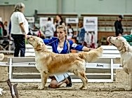 Кибеллайн Каслинский Кузнец