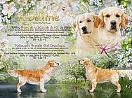 родословная Кузьмы