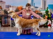 Кибеллайн Каслинский Кузнец