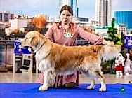 Голден КУЗЯ Алматы