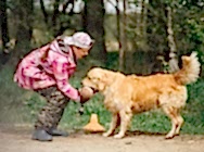 Кузя на соревнованиях по РиПБД