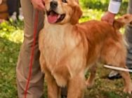 Выставка НКП 2025