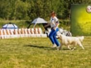 Выставка НКП 2025