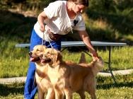 Выставка НКП 2025