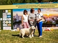 Выставка НКП 2025