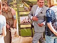 Кибеллайн Дженифер Вайт Скорсере