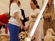 Националка НКП