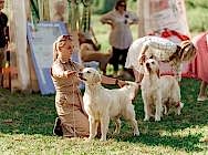 Кибеллайн Идеальная Формула