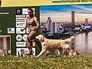 Кибеллайн Жантуар Гуд Бой