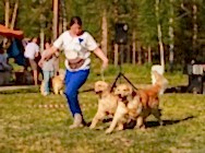 Конкурс Пар Кузя и Ника на националке