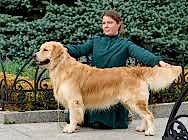 Кибеллайн Каслинский Кузнец