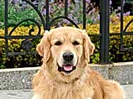 Кибеллайн Каслинский Кузнец