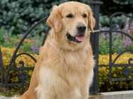 Кузьма портрет сидя 2025 осень