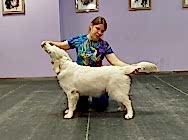 Выводка молодняка 2025