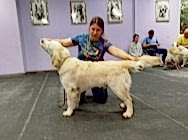 Выводка молодняка 2025