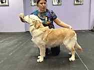 Выводка молодняка 2025