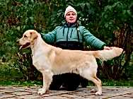 Кибеллайн Юмаран Хоуп оф ве Династи