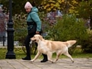 Кибеллайн Юмаран Хоуп оф ве Династи