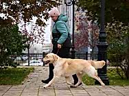 Кибеллайн Юмаран Хоуп оф ве Династи