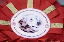 Золотое наследие