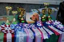 Достижения