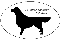 Собаки Навсегда