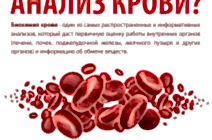 Биохимический Анализ Крови собак (БХАК)