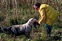 Кибеллайн Трейси Фэуворит Гёрл