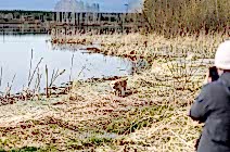 Кибеллайн Брилиана 