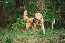 Сезон 2025 год